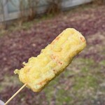 カネサダ - 料理写真:ゴロゴロいか天ぷら