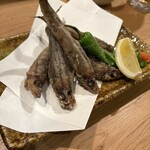 季と鰭 - 