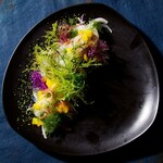 【本日のおススメ】和歌浦湾・朝獲れの魚料理 〜シェフが釣り上げた「命」の一皿〜
