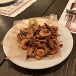 IBIZARTE - 