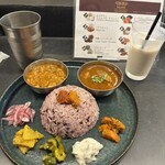 Curry Spice Gelateria KALPASI - 