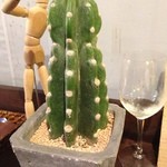 35396520 - ウッドマンとサボテンと酒