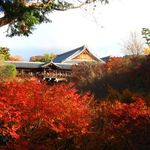 竹情荘 - 東福寺、臥雲橋より通天橋を眺む(2012.12)