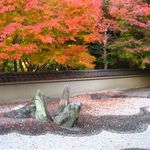 竹情荘 - 龍吟庵、龍門の庭(2012.12)