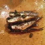 Tsudumi - 平子の山椒煮。今の時期だけ、5センチくらいの小さな鰯を骨ごと食べられます！