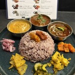 Curry Spice Gelateria KALPASI - 