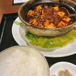 松の樹 - 