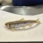 てんぷらこざき - 料理写真: