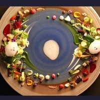 ハジメ - お料理は目で楽しむ。五感の中で視覚を1番楽しめるお店。味はもちろんのこと、全てに感動。芸術作品すぎました。