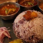 Curry Spice Gelateria KALPASI - 