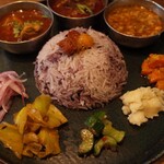 Curry Spice Gelateria KALPASI - 