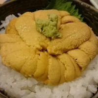 函館うに むらかみ 日本生命札幌ビル店 - 無添加生うに丼（3672円）