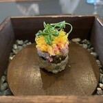 センプレ - 