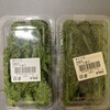とれたて元気市