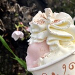 ARIETTA del gelato