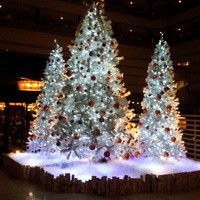 京都ブライトンホテル - クリスマスツリー