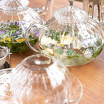 CAFE MIKASA HOTEL 1906 - 