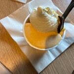 アリマ ジェラテリア スタジオーネ - ダブル(せとか・塩マスカルポーネ)  690円