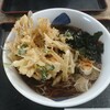 小田原パーキングエリア（下り） フードコート - 野菜かき揚げそば ¥870（税込）