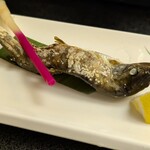 野迫川温泉 ホテルのせ川 - 
