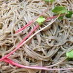元祖手打そば いづるや - カイワレが乗っているのが寒晒しそば