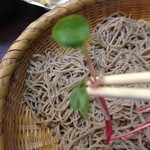 元祖手打そば いづるや - 