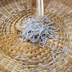 元祖手打そば いづるや - あと少しで終わりだ