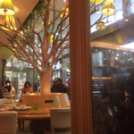 写真 ツリーカフェ 天王寺 カフェ 食べログ