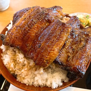 かも川 - 料理写真:立派すぎる蒲焼3枚ドドン