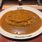旨辛カレー専門店 白洋亭 - 