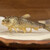 天ぷらふく西 禅と匠 - 料理写真: