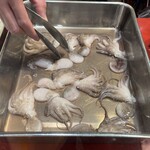 越前海鮮倶楽部 - 料理写真:2026.04.13 (月)