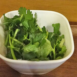 ベトナム料理 ふぉーの店 - 