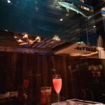 restaurant &Bar lounge MEDUSA - 