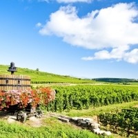 コート・ドュ・ローヌ地方：古代ローマ文化と葡萄栽培を伝えた交易路が造る多彩なワイン産地