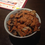 スターケバブ・アキバテラス - ケバブ丼ダブル（牛・鶏あいがけ）¥750（2015/02）