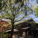 のらや - 古民家な店舗　左奥にちょっとしたお庭があります。縁側で座って順番待ちしました　土曜日昼時で5組くらい