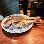 蒼 - 