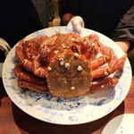 蒼 - 