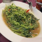 Asiatique - 豆苗炒め
