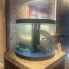 さかな市場  - 