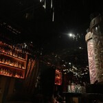 Tir Na Nog - 