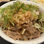 松屋 - 料理写真:ご飯の上に牛肉、玉ねぎ、荒めに卸した大根おろし、ねぎがトッピングしてあります。煮た状態で玉ねぎがそれなりに分かるからある程度の厚みでカットしているのがわかります。それぞれの量、バランスも良いです。