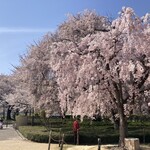 ゼッテリア - 料理写真: