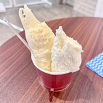 ジェラート フィレンツェ - ダブルカップ(バニラ、クリームチーズ)