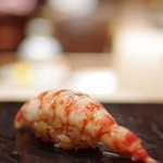 鮨 とかみ - 車蝦（くるまえび）