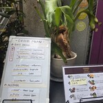 Curry Spice Gelateria KALPASI - 