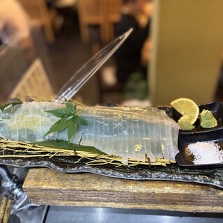 横浜イカセンター_2