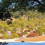 茶室寿楽庵 - 