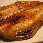 Extra large! Grilled striped Atka mackerel